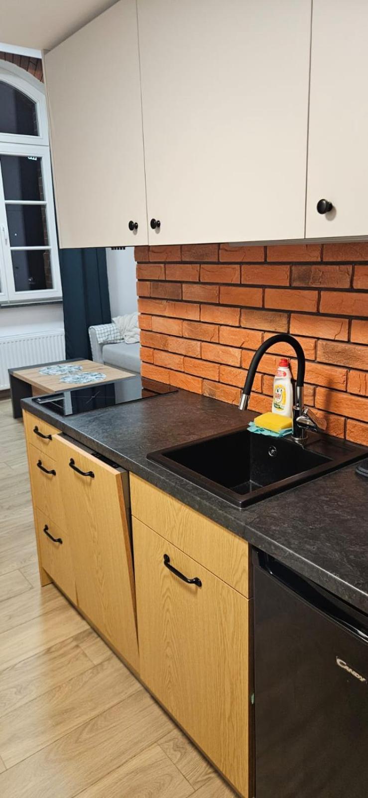 Walowa Apartment Gdansk